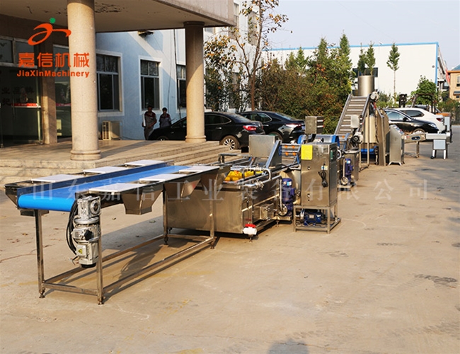 根莖類、葉菜類二合一清洗風干流水線設備